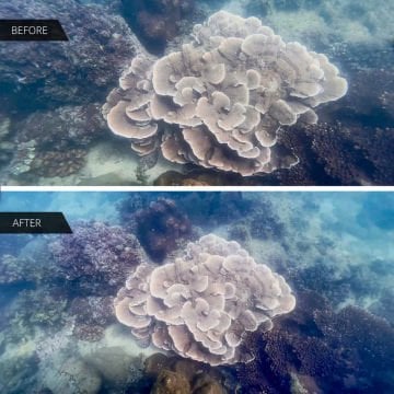 DIVEVOLK kabin ve Kompakt Kamera için sualtı geniş açı dönüştürücü Lens X0.6