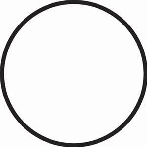 Fantasea FG16 kabin o-ring