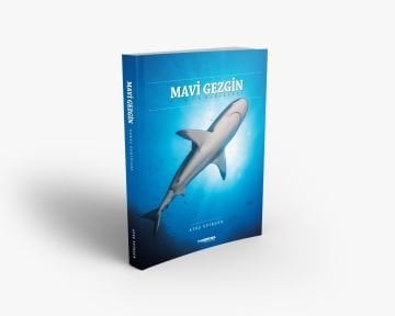 Mavi Gezgin - Dünya Denizleri
