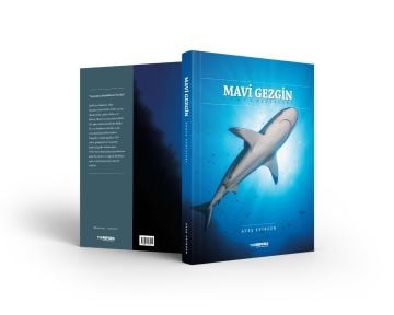 Mavi Gezgin - Dünya Denizleri