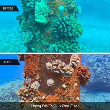 DIVEVOLK  SeaTouch 4 Max Plus Kabin (Housing) Video Çekim Kiti