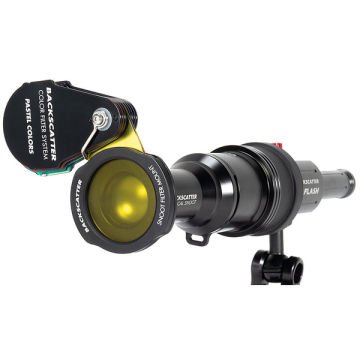 Backscatter Renk Filtre Seti (Pastel Renkler)